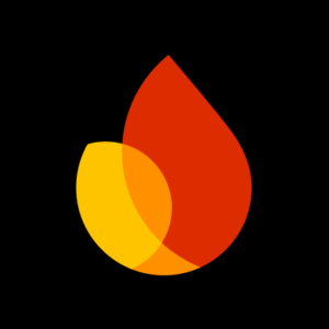 Firebase technology is used by Novixs Web Services for development