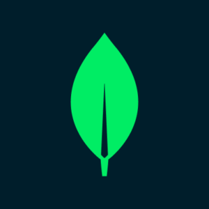 Mongo DB technology is used by Novixs Web Services for development